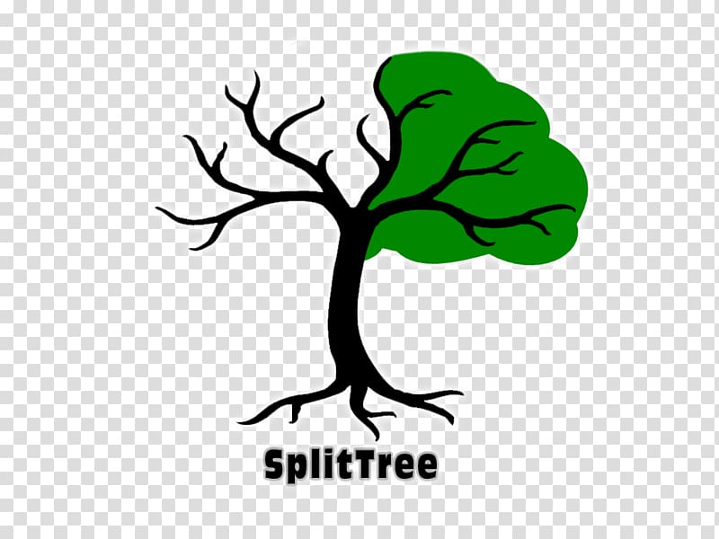 Branch Tree , tree transparent background PNG clipart