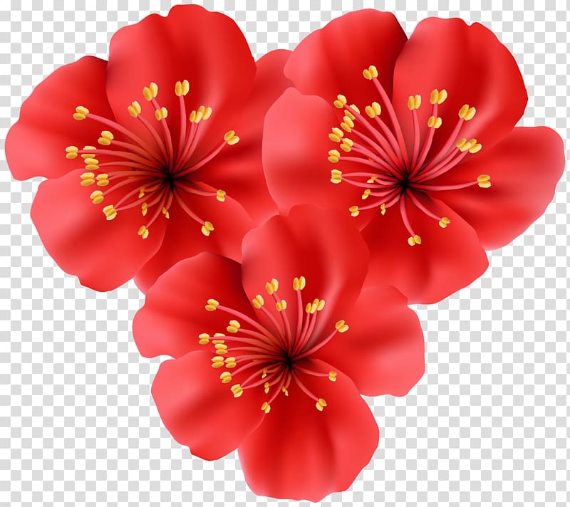 Flower Tropics Gerber format , tropical flower transparent background PNG clipart