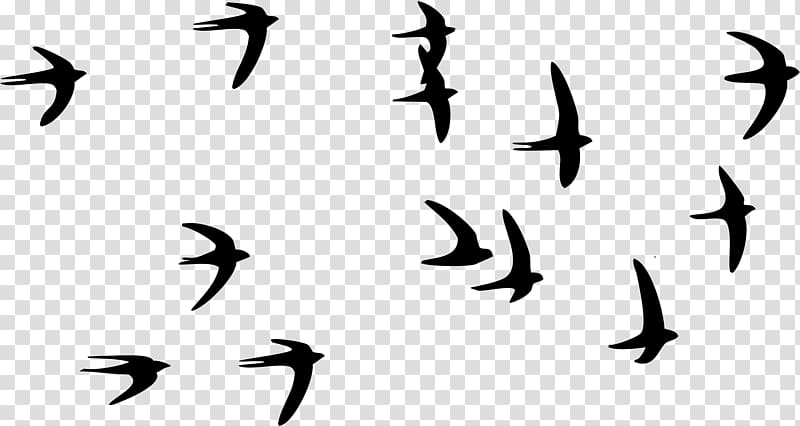 Swallow Bird Paper Tattoo Flock, flock of birds transparent background PNG clipart