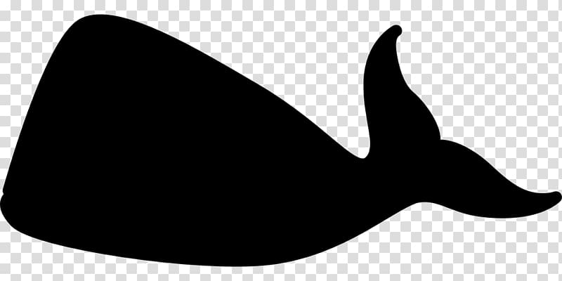 Blue whale Killer whale , whale transparent background PNG clipart