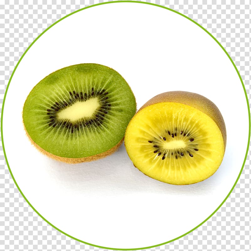 Kiwifruit Food Business Actinidia chinensis, feijoa transparent background PNG clipart