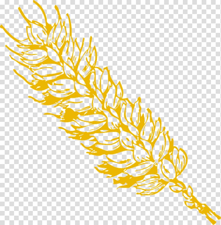 Wheat Grain , wheat transparent background PNG clipart