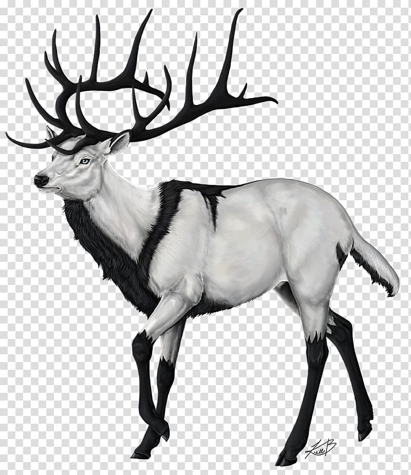 The Endless Forest Reindeer Drawing , Deer Run Graphics transparent background PNG clipart