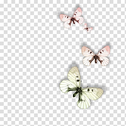 Butterfly Animal Moth Dog, butterfly transparent background PNG clipart