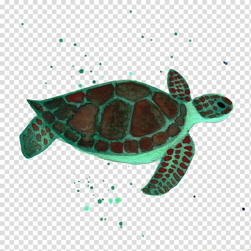 Sea turtle Reptile Animal, sea transparent background PNG clipart