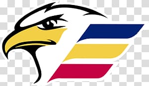 bald eagle logo, Colorado Eagles Head Logo transparent background PNG clipart