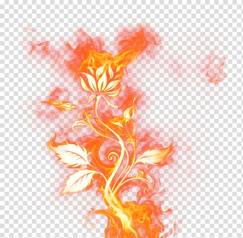 Light Fire , fire transparent background PNG clipart