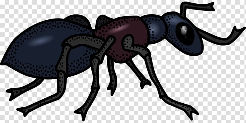 Ant Black and white , Robust ants transparent background PNG clipart