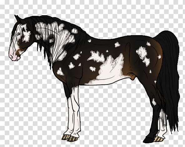 Mane Mustang Stallion Foal Mare, Seal Brown transparent background PNG clipart
