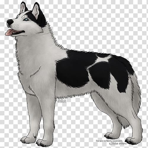 Miniature Siberian Husky Sakhalin Husky East Siberian Laika Canadian Eskimo Dog West Siberian Laika, others transparent background PNG clipart