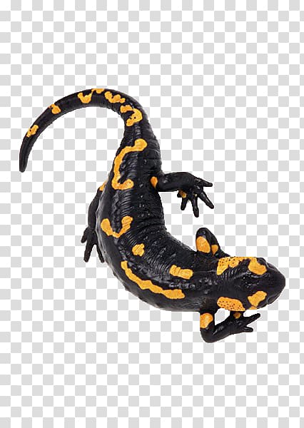 Fire salamander Icon, We are creative lizard transparent background PNG clipart