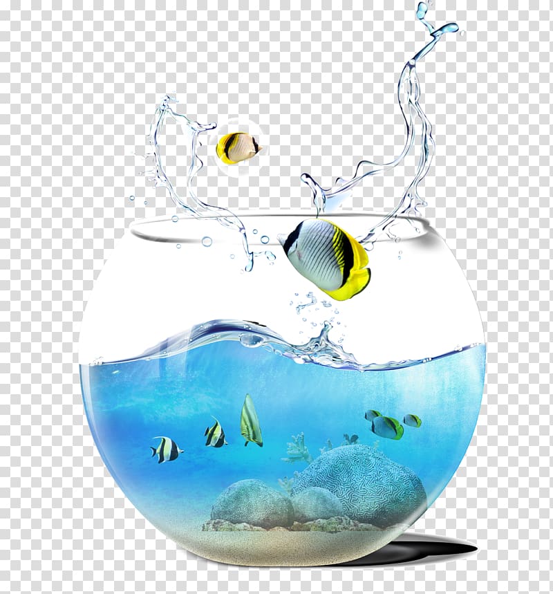 Aquarium, Cutlass fish tank transparent background PNG clipart
