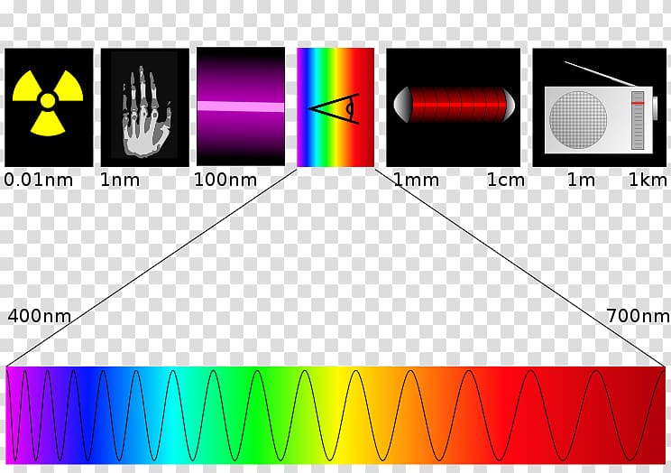 Light Electromagnetic spectrum Ultraviolet Electromagnetic radiation Wavelength, pas de deux transparent background PNG clipart