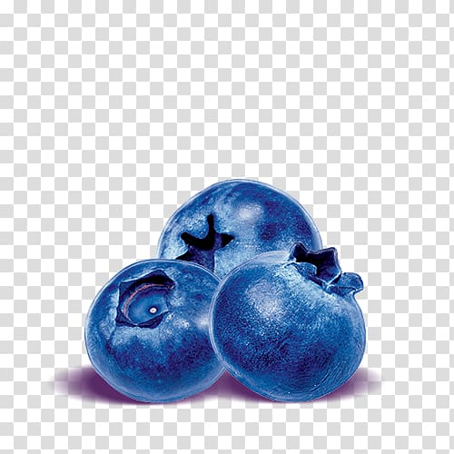 Blueberry Bilberry Superfood, blueberries transparent background PNG clipart