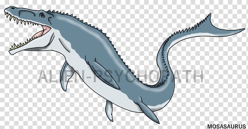 Velociraptor Mosasaurus Mosasaurs Dinosaur, dinosaur transparent background PNG clipart