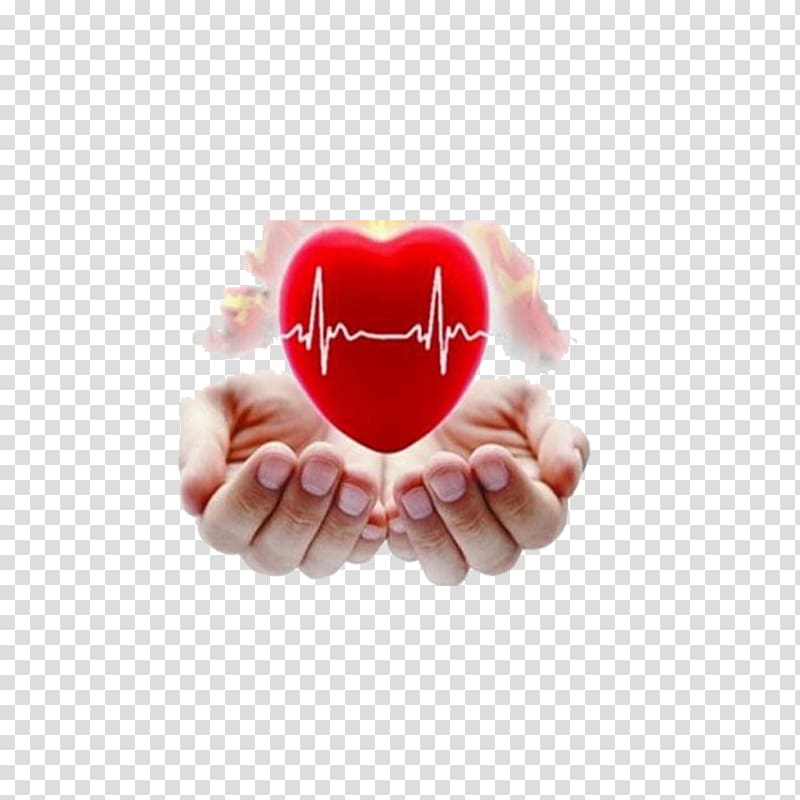person holding heart illustration, Ayurveda Therapy Basti Clinic Cardiology, Cartoon coronary heart disease transparent background PNG clipart