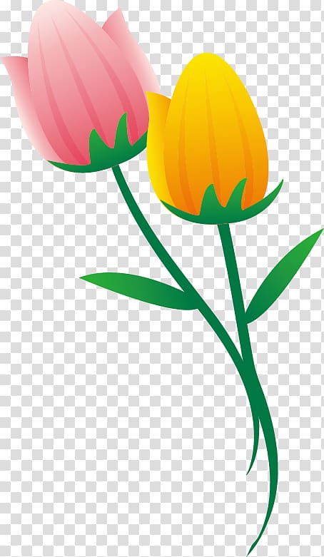 Tulip , tulip transparent background PNG clipart