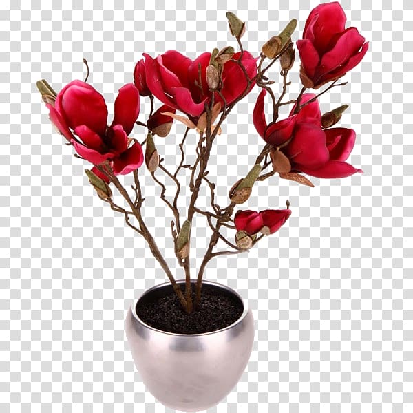 Magnolia Flowerpot Houseplant, brush pot transparent background PNG clipart