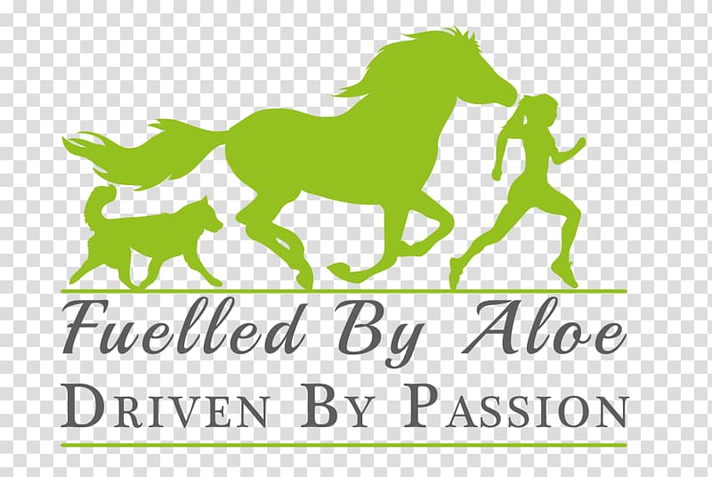 Pony Mustang Paper Excellent Stickers, mustang transparent background PNG clipart