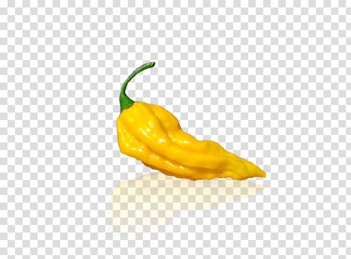 Chili pepper Trinidad moruga scorpion Scotch bonnet Habanero Bhut jolokia, chili peppers transparent background PNG clipart