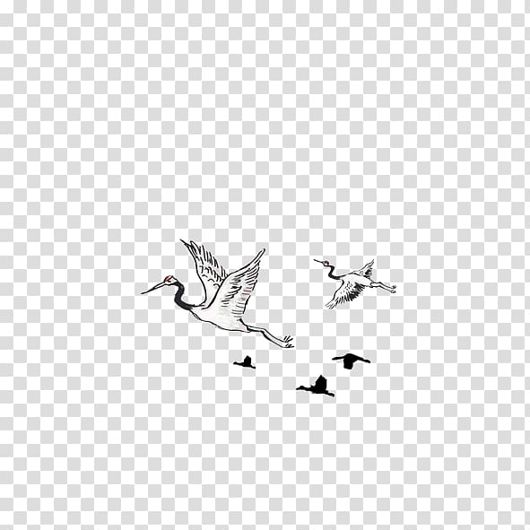 Cygnini Red-crowned crane, swan transparent background PNG clipart