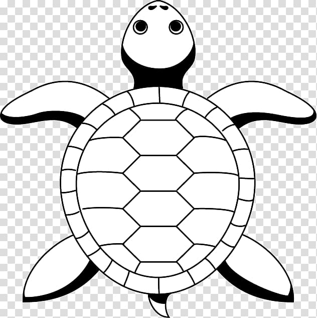 Sea turtle Tortoise Line art Drawing, tortoide transparent background PNG clipart