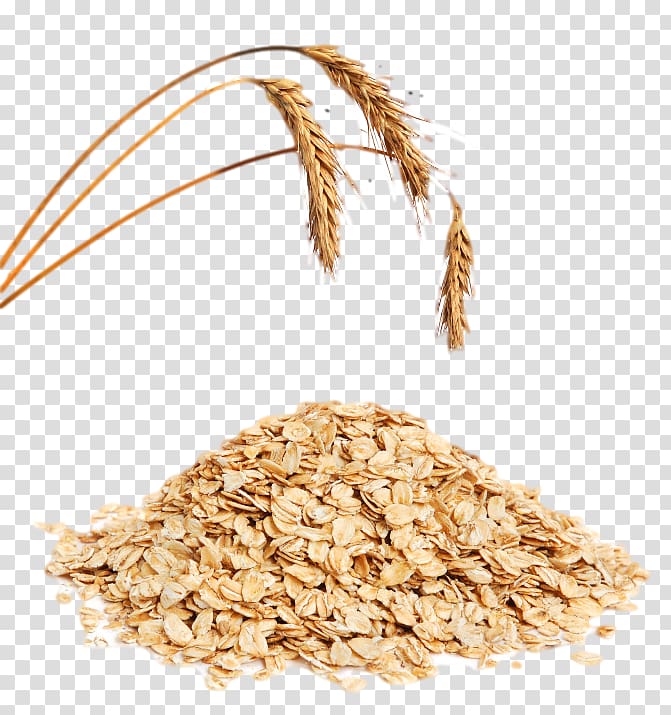 wheat flakes, Muesli Oat Breakfast cereal Corn flakes Ear, oats transparent background PNG clipart