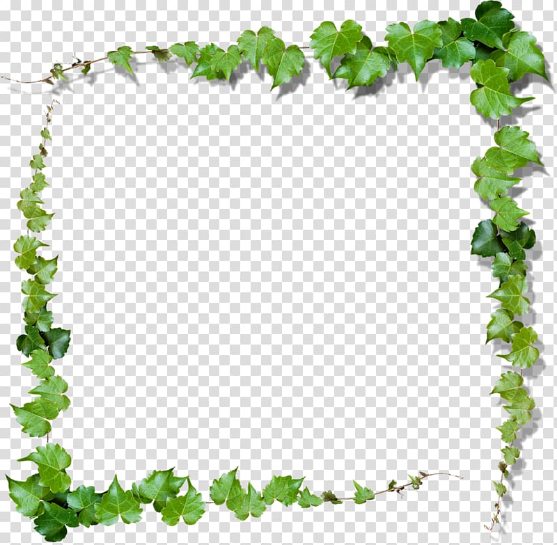 Green Vine , leaves frame transparent background PNG clipart