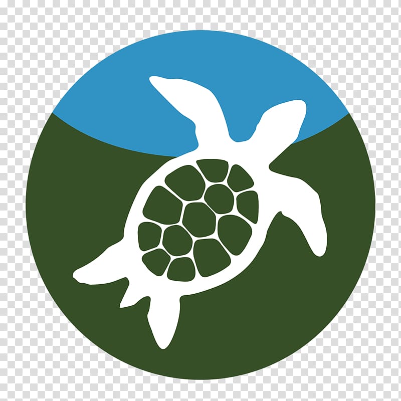 ERAC, Educational Resource Acquisition Consortium Indigenous peoples in Canada Sea turtle Learning Information, others transparent background PNG clipart