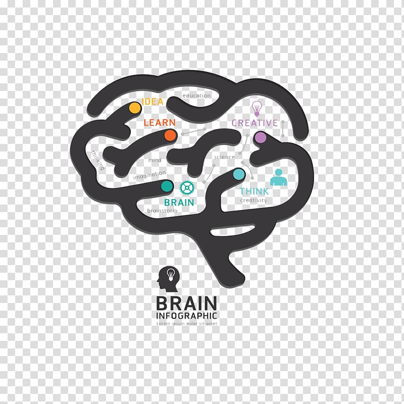 Human brain Graphic design Diagram, brain transparent background PNG clipart