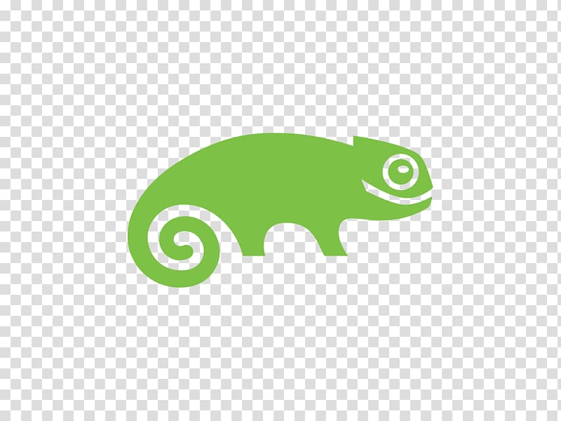 OpenSUSE SUSE Linux distributions Red Hat Enterprise Linux SUSE Linux Enterprise, lizard transparent background PNG clipart