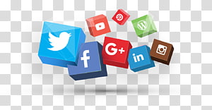 Peluqueria Nieves Marques Estilistas Fashion Designer Typhoid fever Salmonella enterica Serotype, Supastars transparent background PNG clipart thumbnail