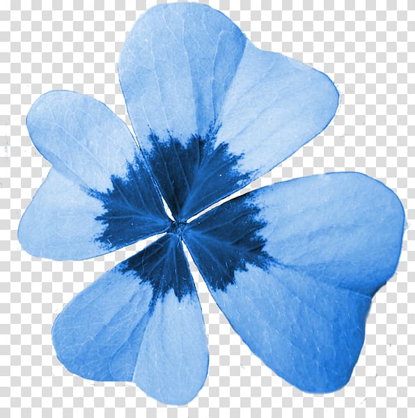 Four-leaf clover Quatrefoil Blue Luck, clover transparent background PNG clipart