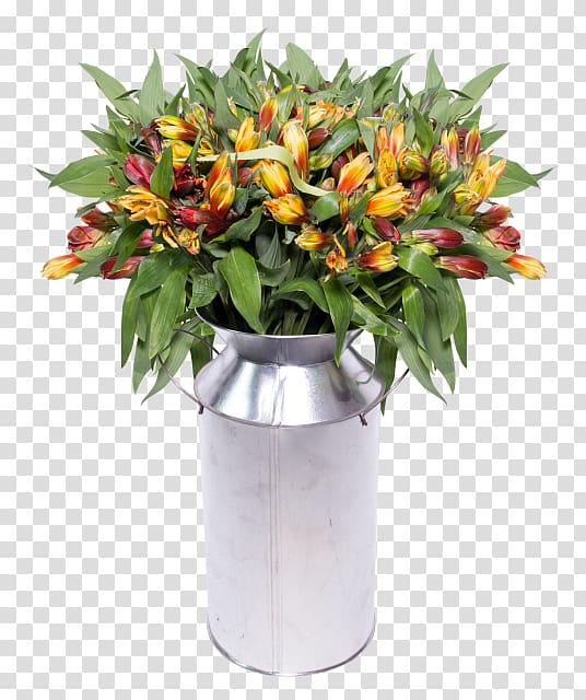 Floral design Vase Cut flowers Houseplant, carnival breeze transparent background PNG clipart