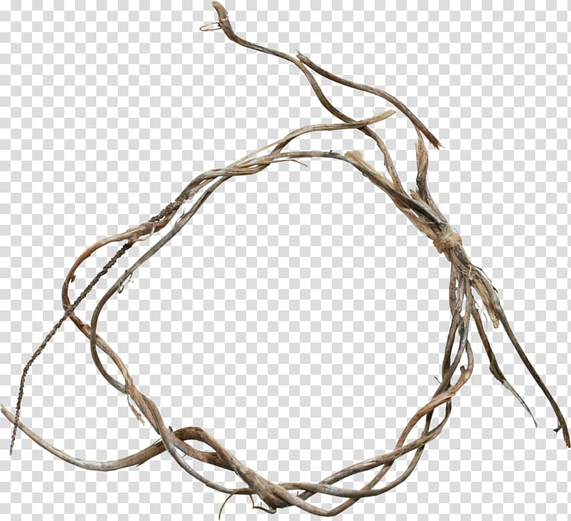 brown twigs , Twig Branch Scrapbooking Albom, Brown branches ring transparent background PNG clipart