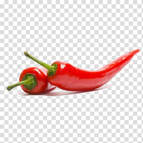 Chili pepper Jalapeño Cayenne pepper Vegetable Condiment, vegetable transparent background PNG clipart