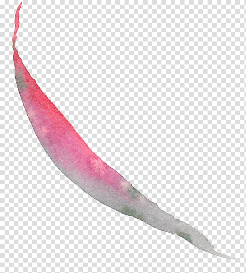 Pink M Fish, Autumn Leaves watercolor transparent background PNG clipart