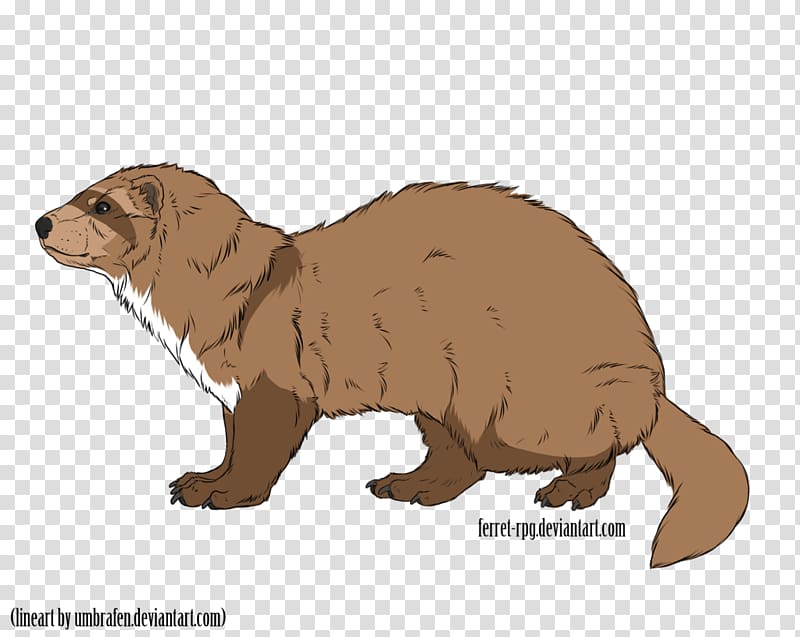 Mustelids Beaver Marmot Whiskers Snout, Toast drawing transparent background PNG clipart