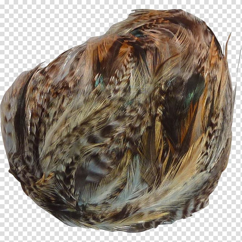 Mussel Clam, others transparent background PNG clipart