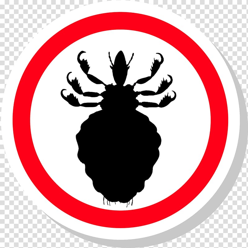 Head louse , others transparent background PNG clipart