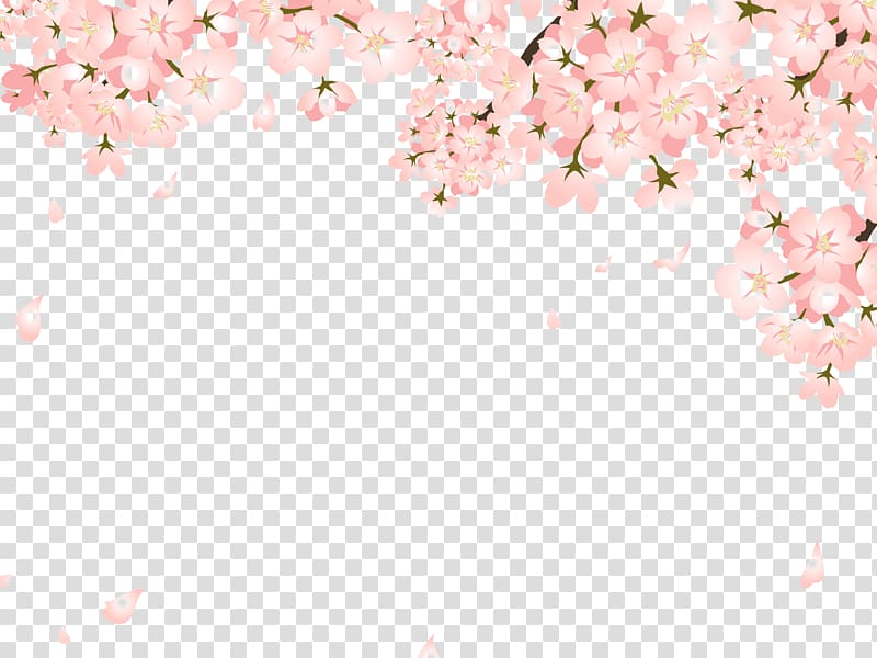 Cherry blossom Copyright-free Illustration, Pretty Peach falling, cherry blossom illustration transparent background PNG clipart