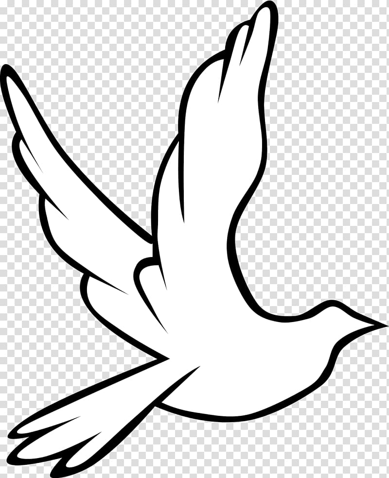 Columbidae Doves as symbols Holy Spirit in Christianity , Funeral transparent background PNG clipart