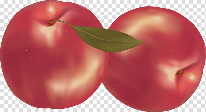 Fruit Nectarine , Peach transparent background PNG clipart