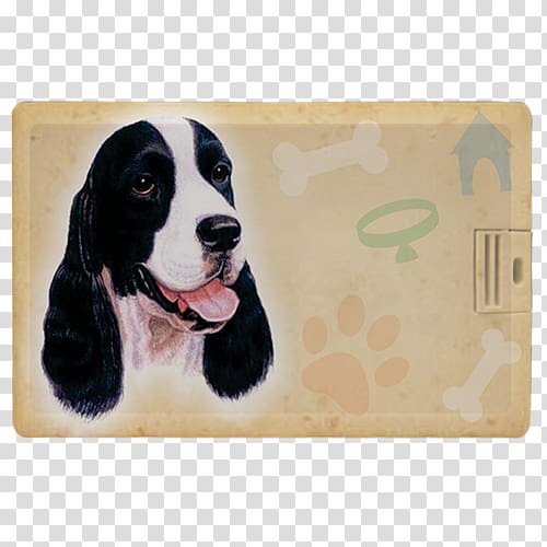 English Springer Spaniel English Cocker Spaniel Dog breed Welsh Springer Spaniel Pet, puppy transparent background PNG clipart