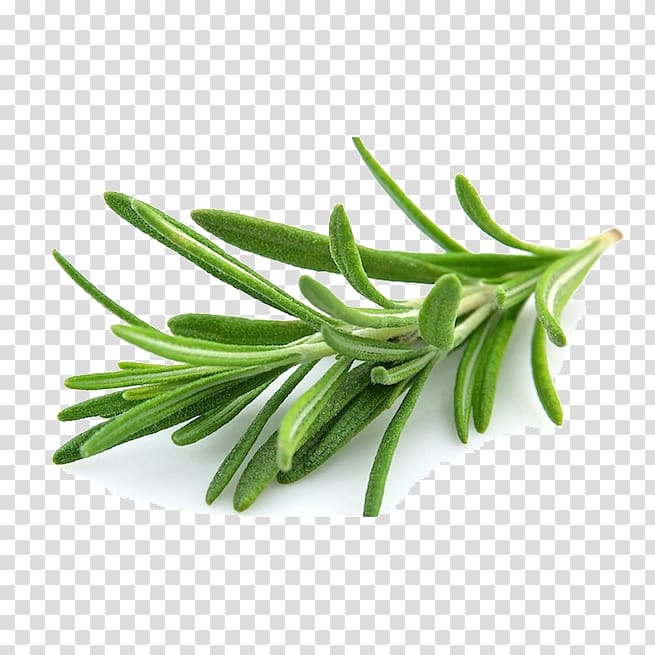 Rosemary Herb Mediterranean cuisine Cooking Vegetable, cooking transparent background PNG clipart