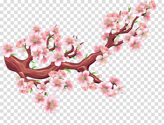 Cherry blossom Flower Tree, cherry blossom transparent background PNG clipart