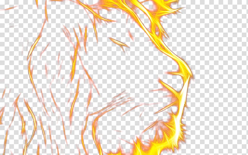 Flame lion head transparent background PNG clipart