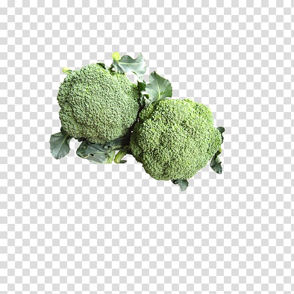 Broccoli Cauliflower Vegetable, Broccoli transparent background PNG clipart