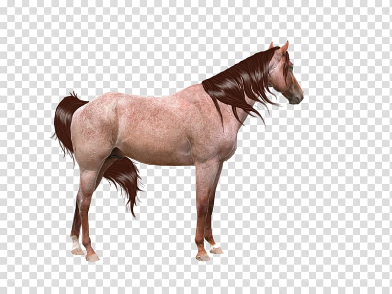 Friesian horse Shire horse Mustang Mane Stallion, Cartoon cartoon horse transparent background PNG clipart