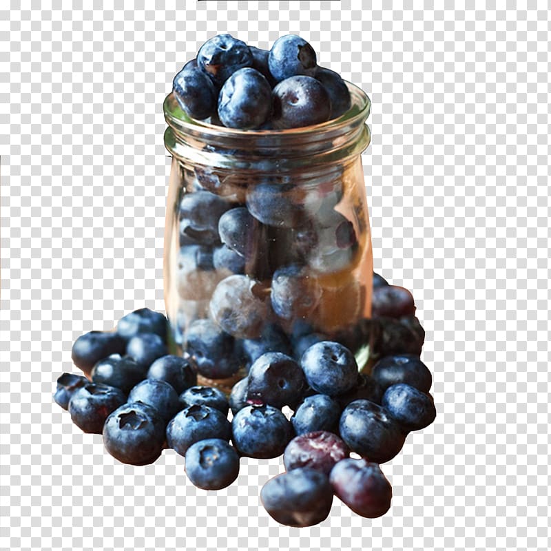 Blueberry Purple Bilberry, blueberry transparent background PNG clipart